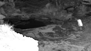 Still 2 from this detection