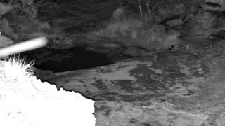 Still 1 from this detection