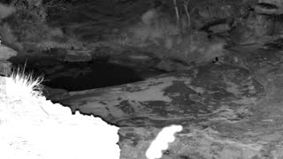 Still 3 from this detection
