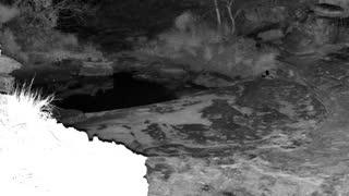 Still 2 from this detection