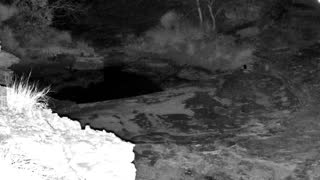 Still 2 from this detection