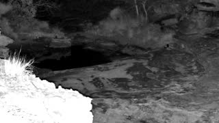 Still 1 from this detection