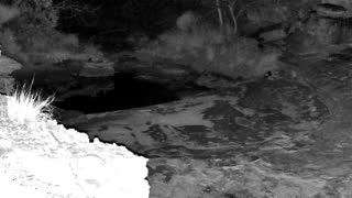 Still 2 from this detection