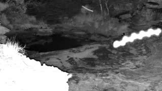 Still 1 from this detection