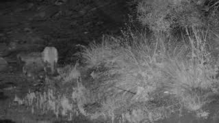 Still 1 from this detection