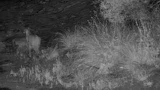 Still 2 from this detection