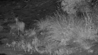 Still 3 from this detection