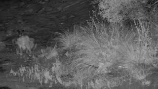 Still 3 from this detection