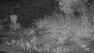 Still 2 from this detection