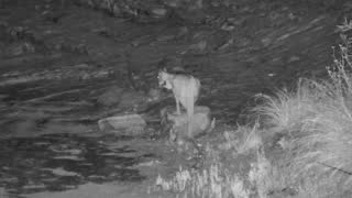 Still 3 from this detection