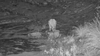 Still 2 from this detection