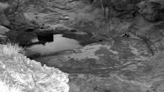 Still 1 from this detection