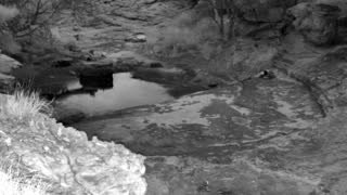 Still 2 from this detection