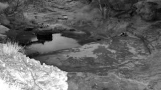 Still 2 from this detection