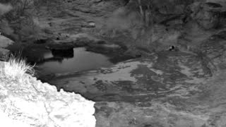 Still 1 from this detection