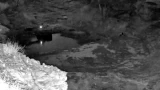 Still 3 from this detection
