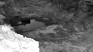 Still 1 from this detection