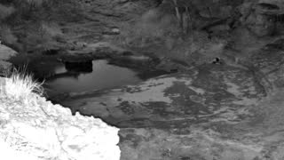 Still 2 from this detection