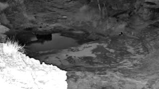 Still 2 from this detection