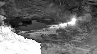 Still 1 from this detection