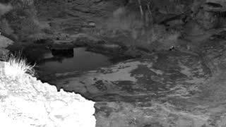 Still 2 from this detection