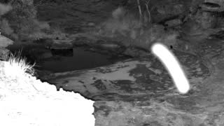 Still 1 from this detection