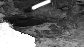 Still 1 from this detection