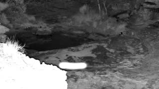 Still 1 from this detection