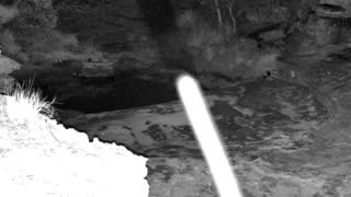 Still 2 from this detection