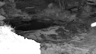 Still 1 from this detection