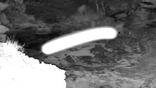 Still 2 from this detection