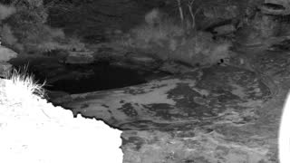Still 2 from this detection