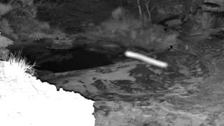 Still 1 from this detection