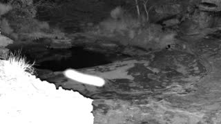 Still 2 from this detection