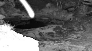 Still 1 from this detection