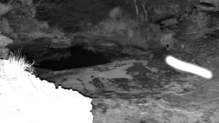 Still 1 from this detection