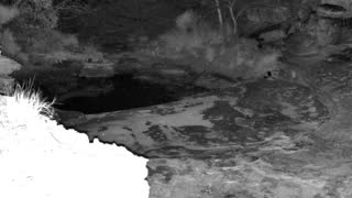 Still 1 from this detection