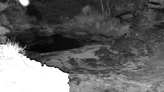 Still 2 from this detection