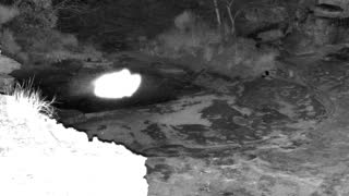 Still 1 from this detection