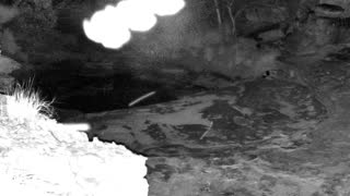 Still 2 from this detection