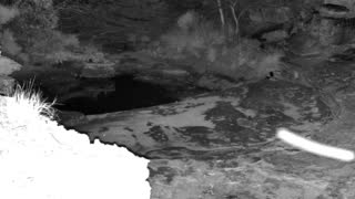 Still 2 from this detection