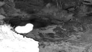 Still 1 from this detection