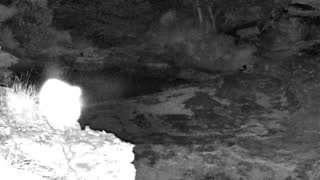 Still 2 from this detection