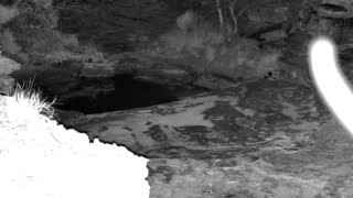 Still 1 from this detection