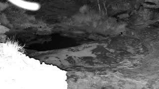 Still 2 from this detection