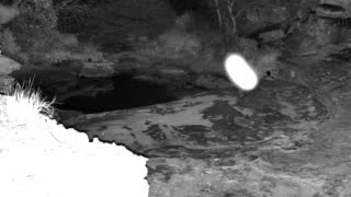 Still 2 from this detection