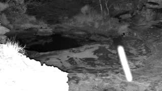 Still 1 from this detection