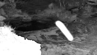 Still 2 from this detection
