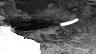 Still 2 from this detection