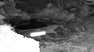 Still 2 from this detection